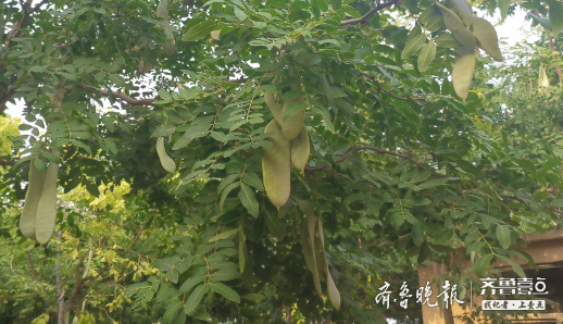 泗水农商银行优化营商环境，精准助力华村镇特色产业名声大“皂”