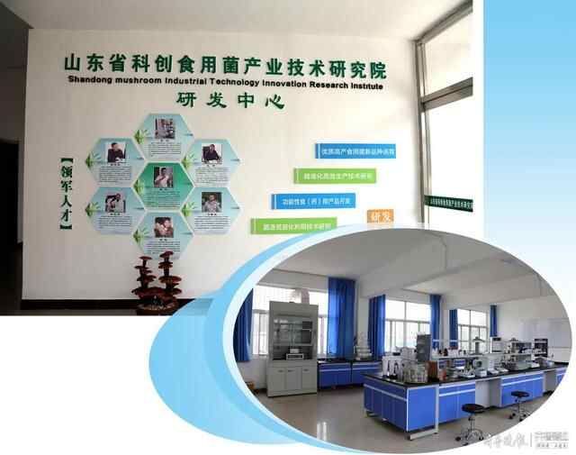 邹城食用菌产业的领路人，李晓博把“小蘑菇”做成“大产业”