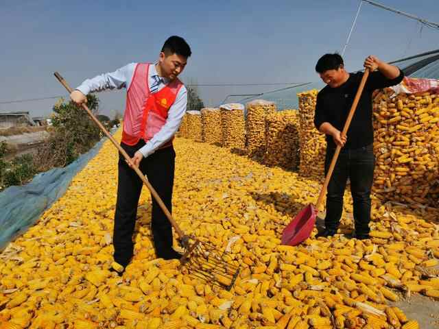 金融活水丰润乡村底色