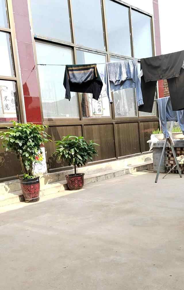 我的村庄！—中共菏泽市成武县汶上集镇丁古刘庄村
