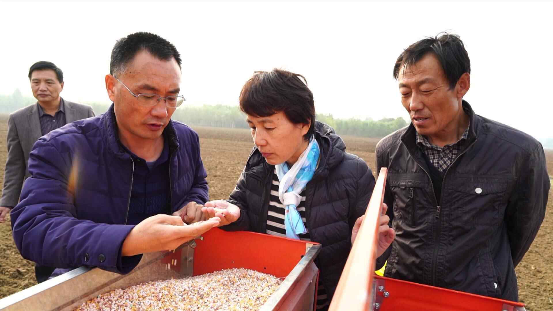 济宁市兖州区：不误农时 抓好小麦抢种