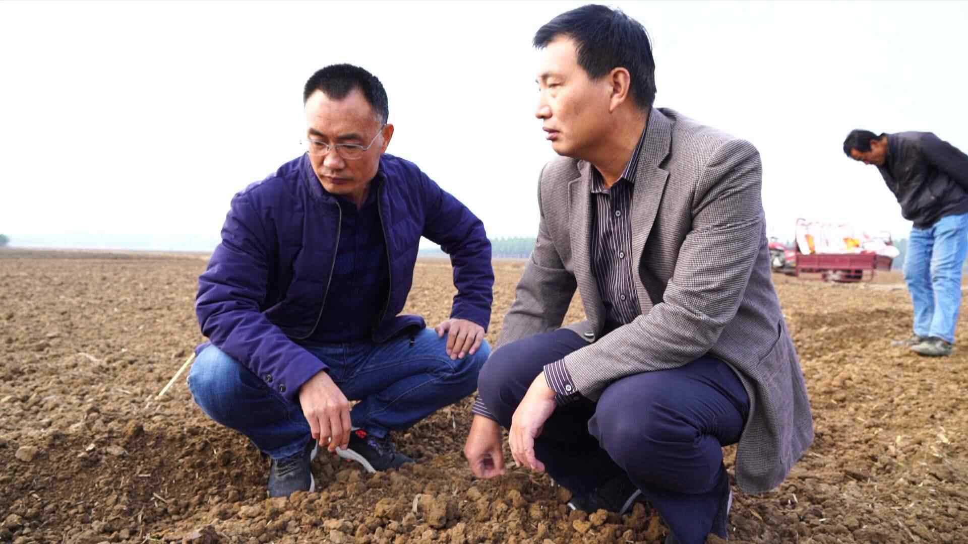 济宁市兖州区：不误农时 抓好小麦抢种
