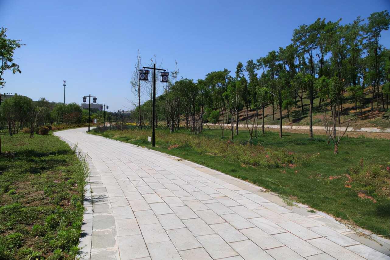 曲阜鲁国故城成功入选“百年百大考古发现”