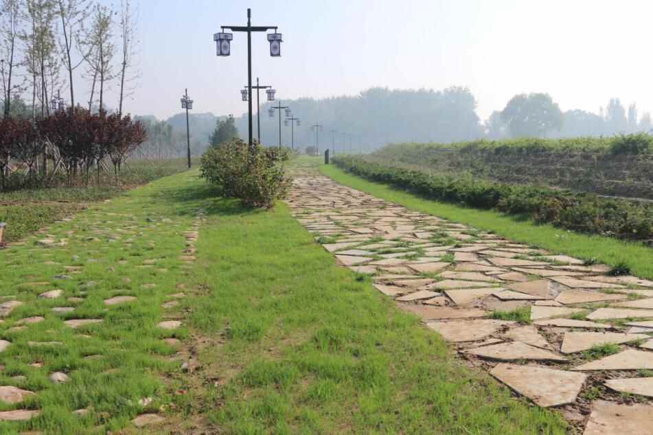 曲阜鲁国故城成功入选“百年百大考古发现”