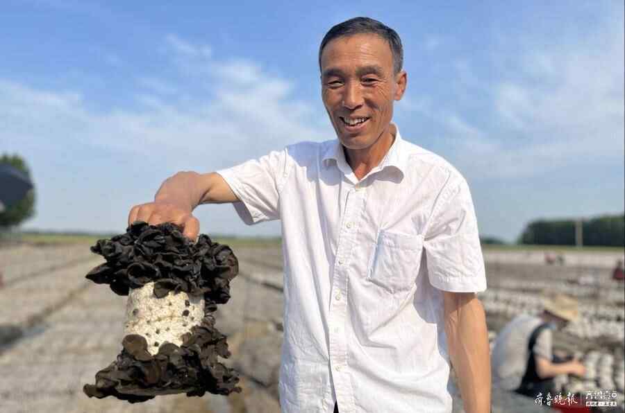 土专家带头探路，梁山馆驿木耳生产加工“一条龙”