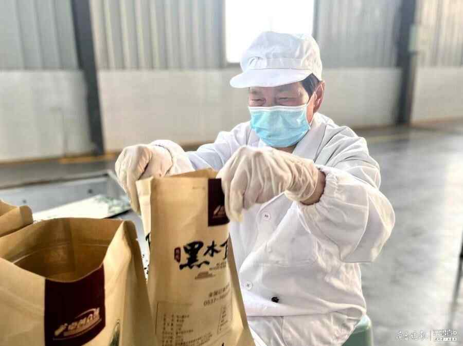 土专家带头探路，梁山馆驿木耳生产加工“一条龙”
