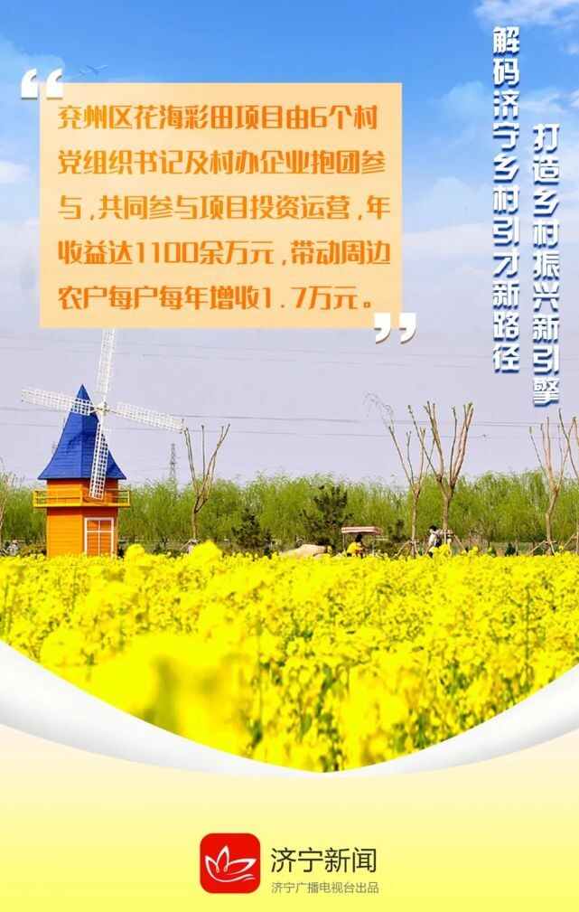 海报｜乡村振兴看济宁，解码引才“新路径”