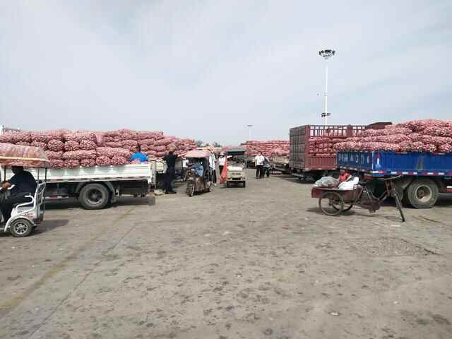 2022年6月2日，金乡产区大蒜行情