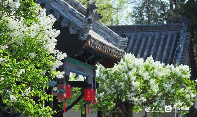 邹城孟庙孟府景区6月1日至6月30日免费开放