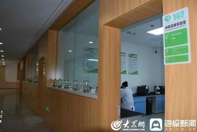 年产鲜菇达38万吨 科技创新赋能邹城市食药用菌产业发展