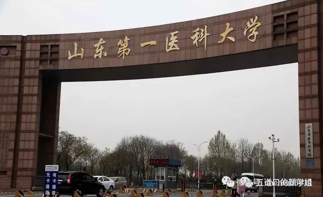聊聊山东高校的层次