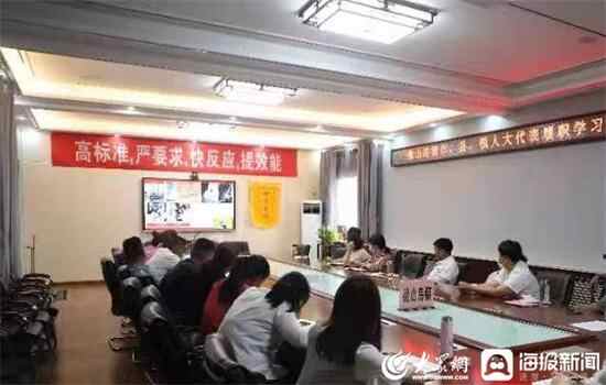微山县微山岛镇多形式开展人大代表履职培训