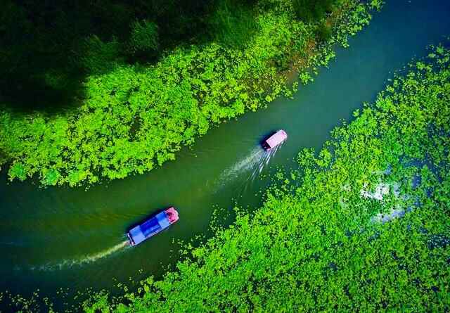 微山湖上静悄悄，济宁城南，齐鲁明珠微山县