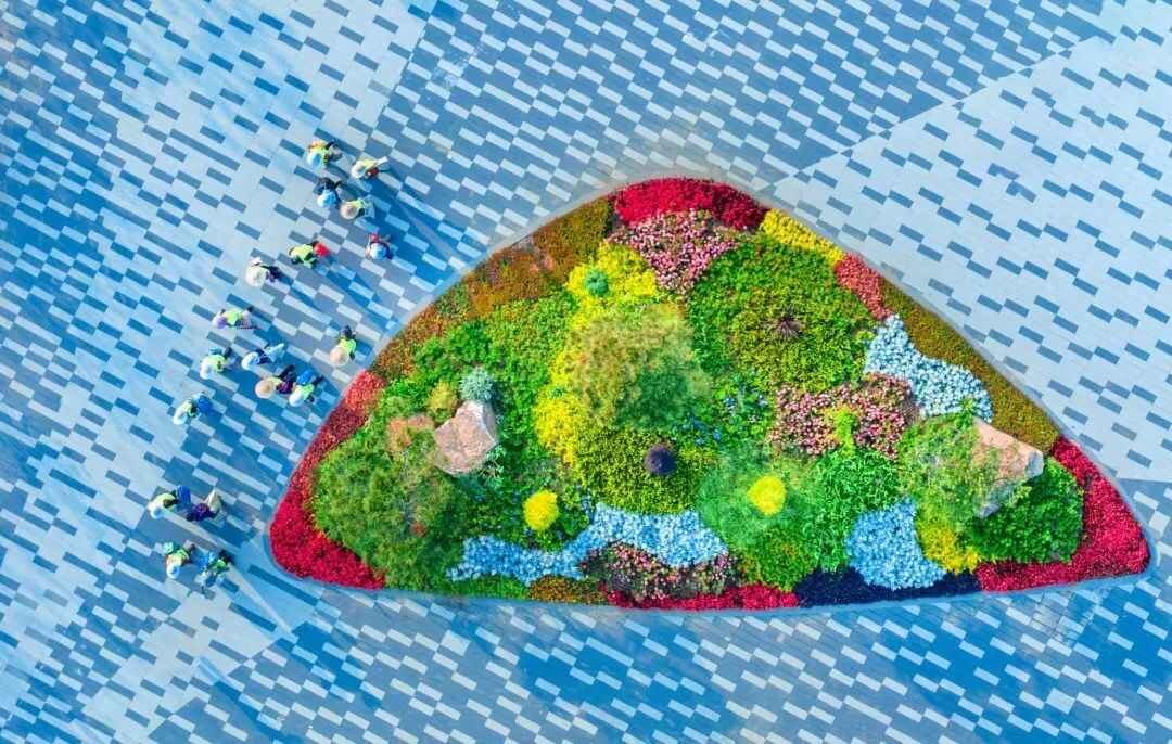 中国**“二十四节气”——芒种：正青春•那年高考