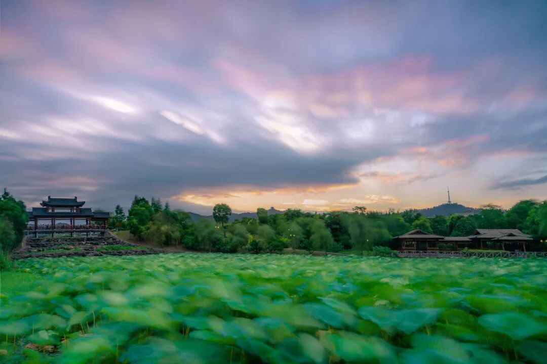 中国**“二十四节气”——芒种：正青春•那年高考