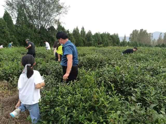 国庆假期，泗水文旅市场安全有序、繁荣祥和