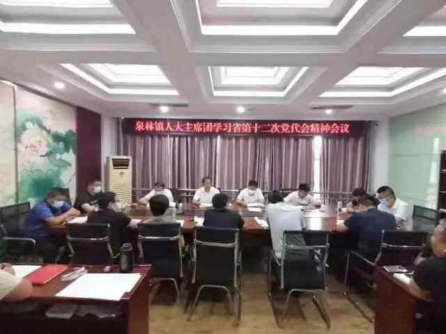 聚焦省第十二次党代会 | 泗水县泉林镇人大代表做出表率