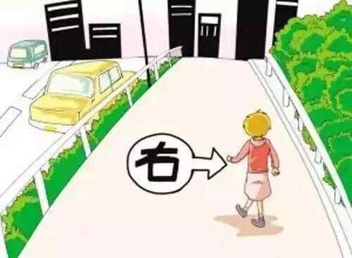 创城进行时：文明交通知多少，这波漫画请收好