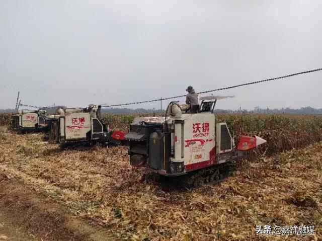 嘉祥县农机服务中心积极应对连阴雨天气 切实组织好秋季农机化生产