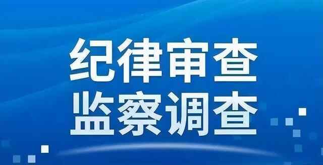 邹城市自然资源和规划局综合执法大队副大队长、邹城市砂石资源综合治理专班办公室主...