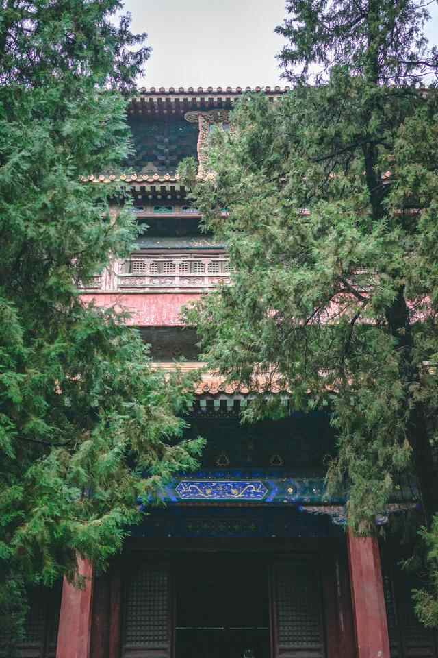 好客山东游，到孔子故里曲阜，感受儒家思想的传承