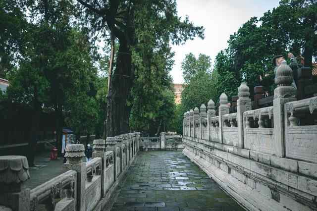 好客山东游，到孔子故里曲阜，感受儒家思想的传承
