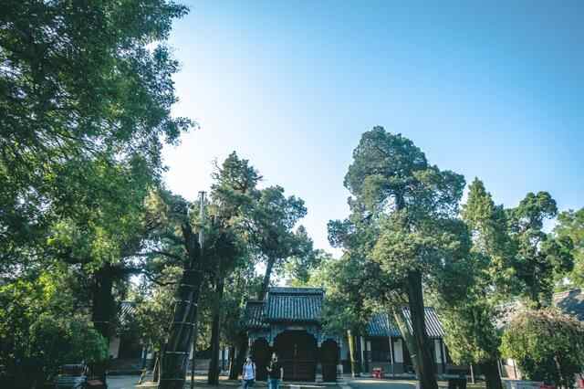 好客山东游，到孔子故里曲阜，感受儒家思想的传承