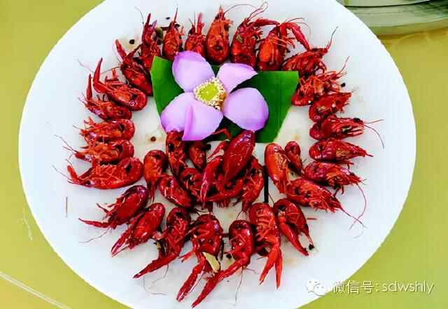 舌尖上的微山湖