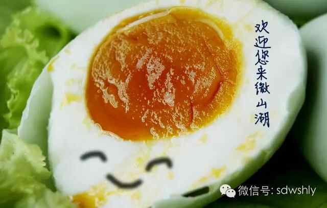 舌尖上的微山湖