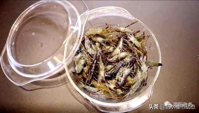 膘鸡、羊肉、大饼、馓子，哪样是你心中泗阳美食的NO.1？