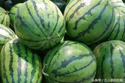 兖州特产全收录，来来来，看看你知道几个？