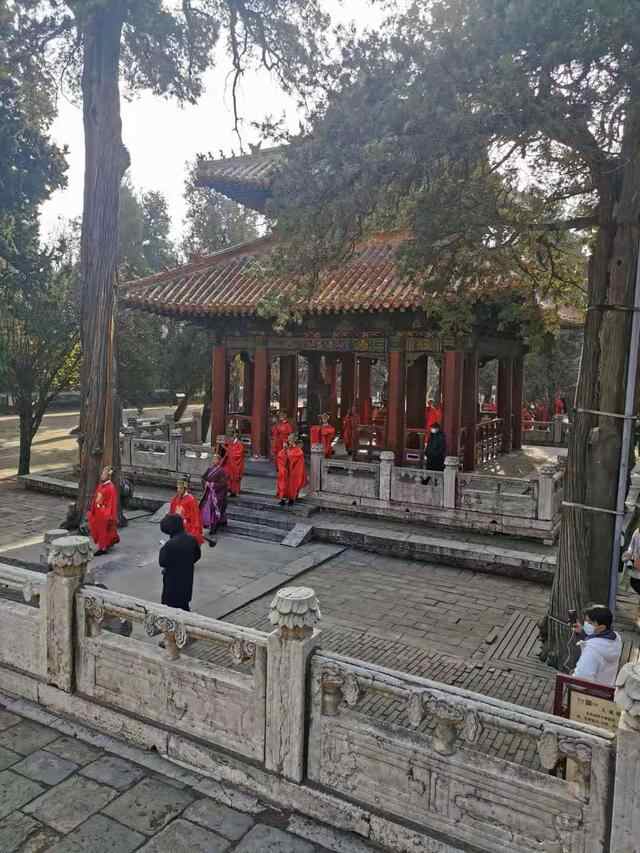 曲阜旅游指南，避坑，美食指引