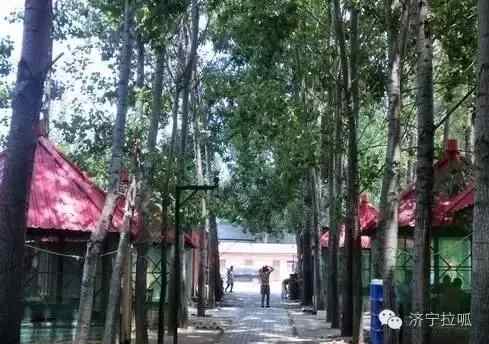 邹城美食：笨鸡那么香，我想去尝尝！