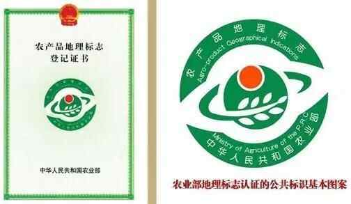 “品味山东　饕餮美食”系列之：舌尖上的邹城