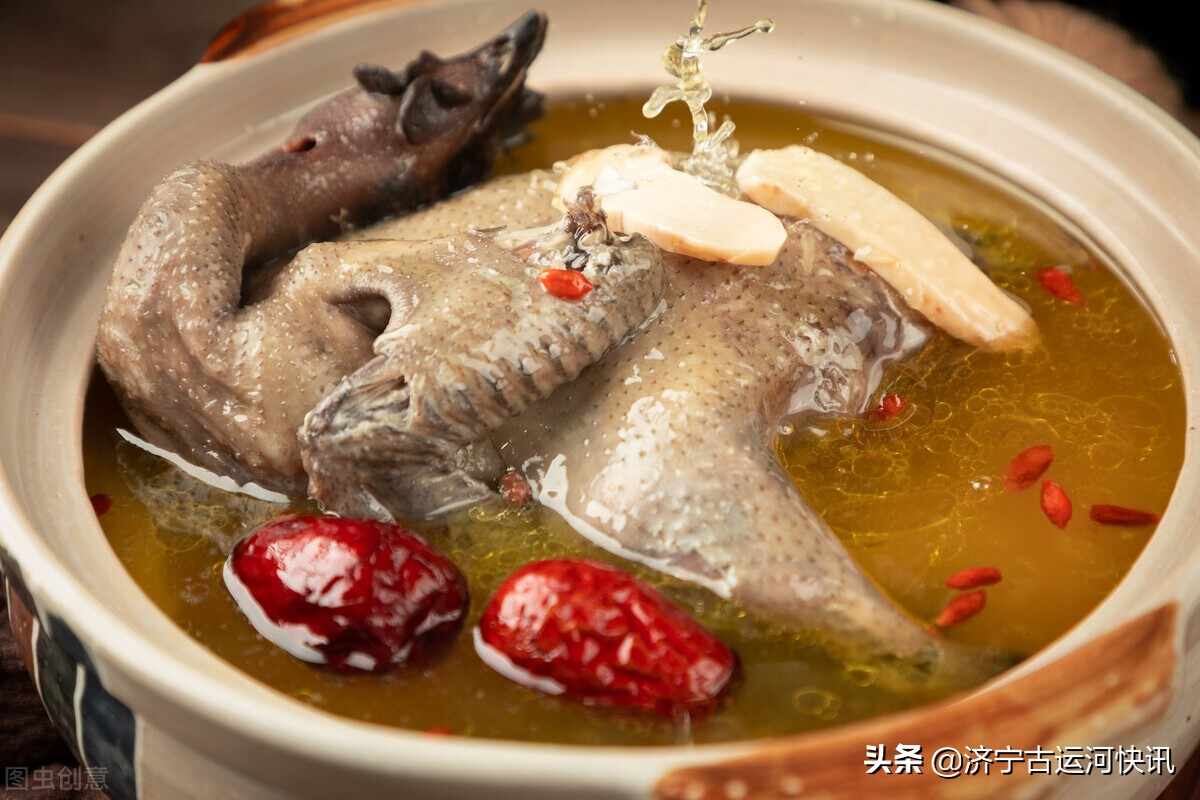 济宁汶上南站大街村豆腐皮炖鸡：温一壶酒，采念成词的年华