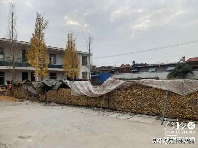 走！瞧瞧兖州豆腐店去