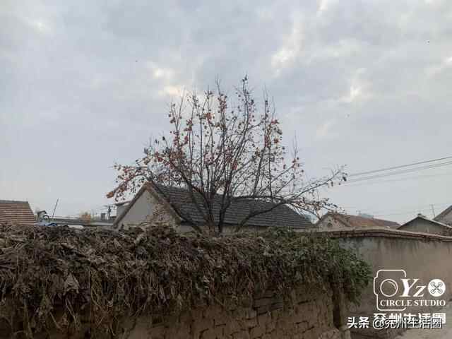 走！瞧瞧兖州豆腐店去