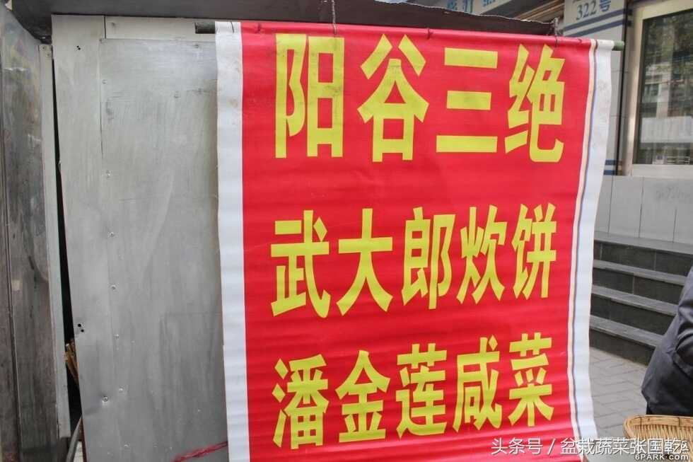 去梁山吃的武大郎烧饼潘金莲咸菜，小吃这样起名行吗？