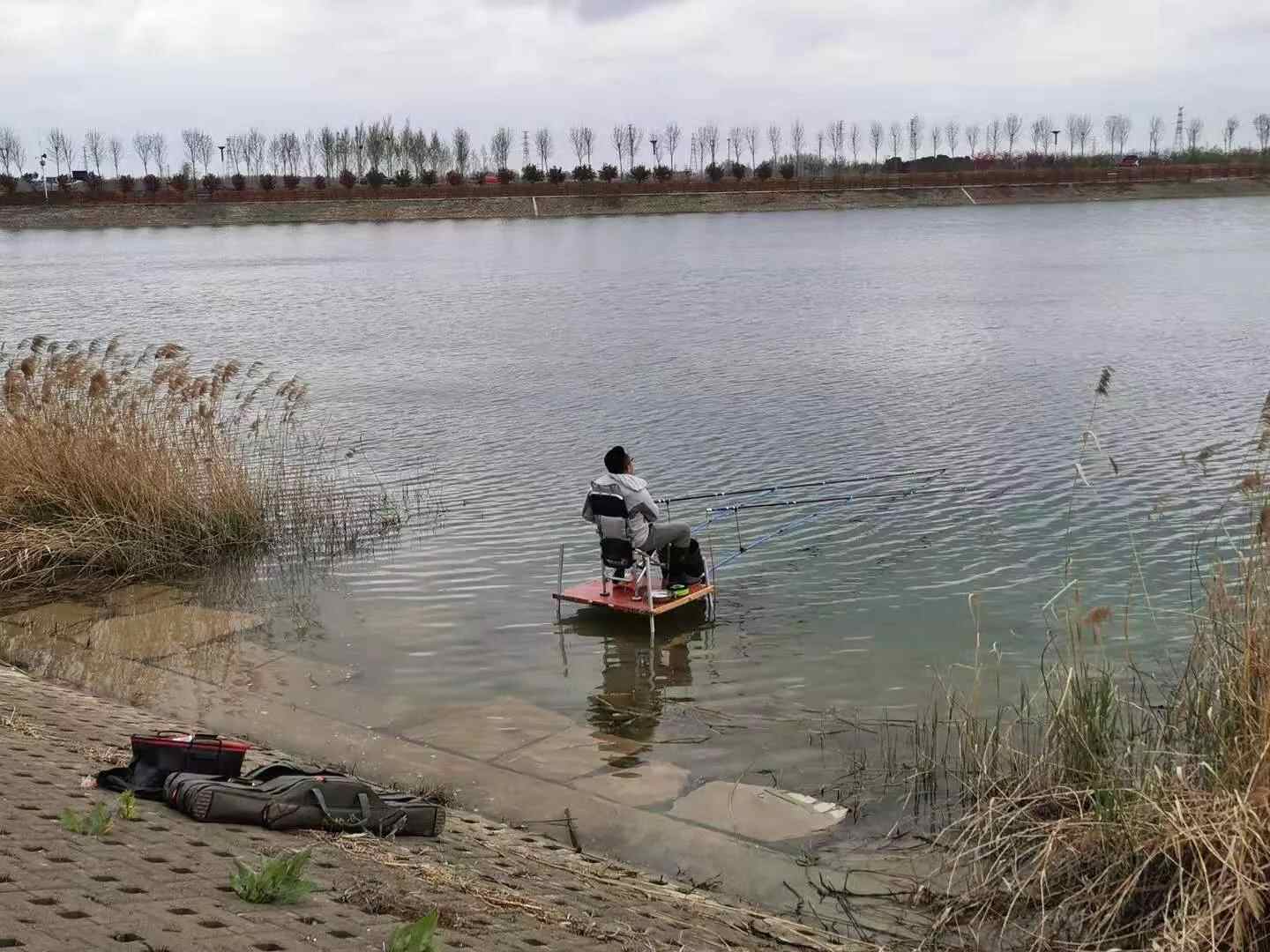 济宁汶上莲花湖值得去一趟