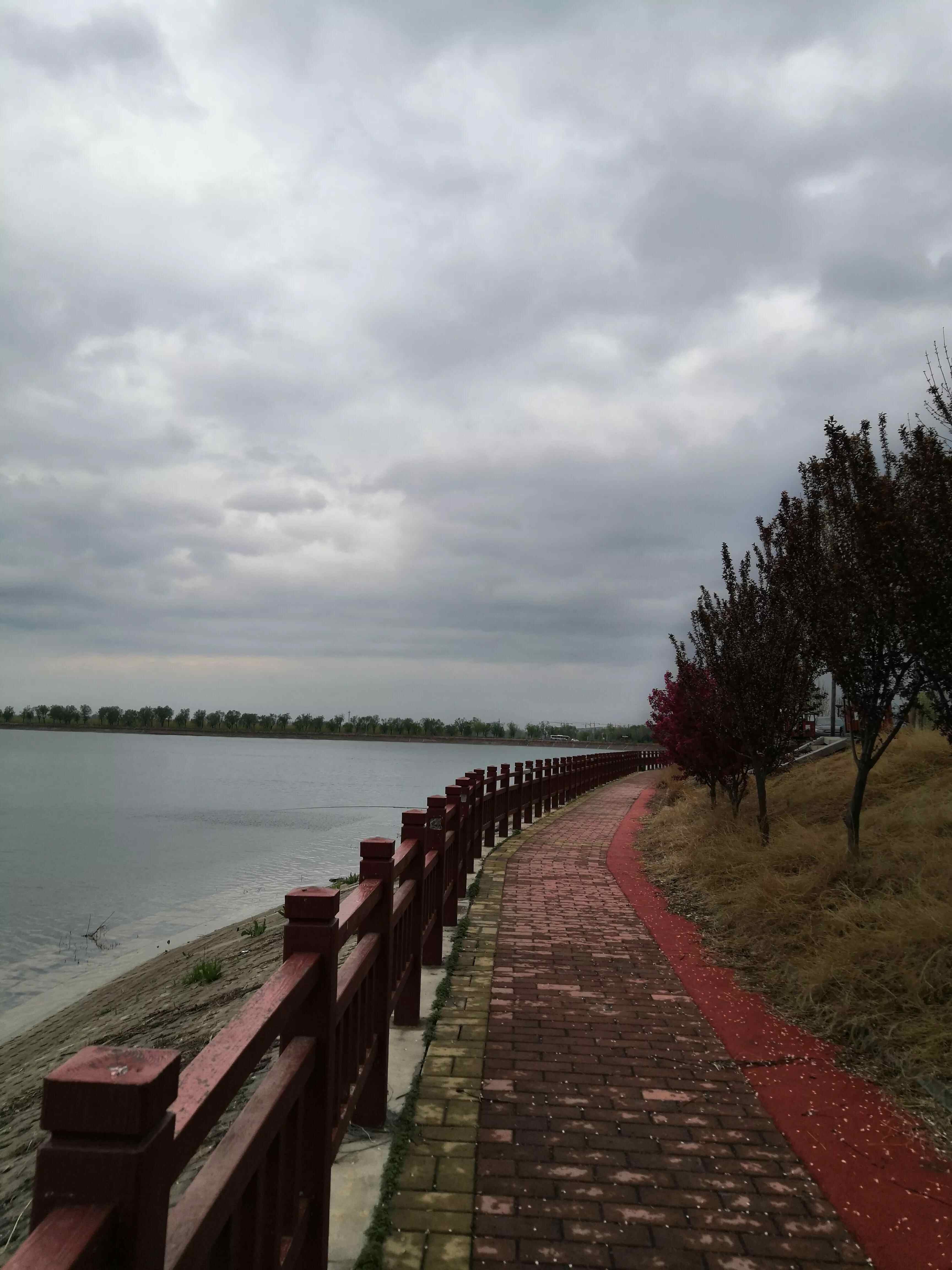 济宁汶上莲花湖值得去一趟