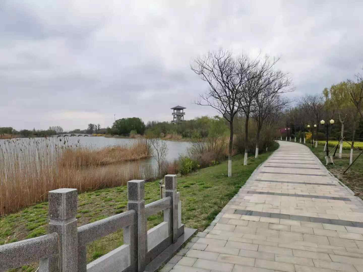 济宁汶上莲花湖值得去一趟