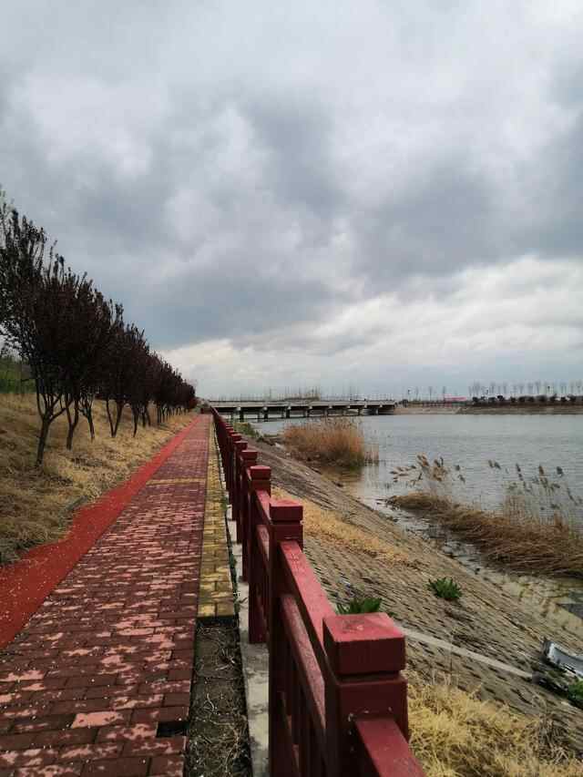 济宁汶上莲花湖值得去一趟