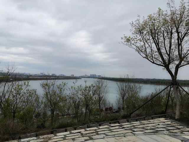 济宁汶上莲花湖值得去一趟