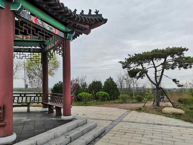 济宁汶上莲花湖值得去一趟