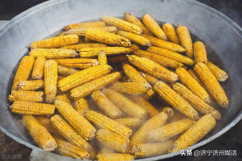 汶上南站新农村庭院烧烤：一种 友谊与幸福融合的休闲快乐