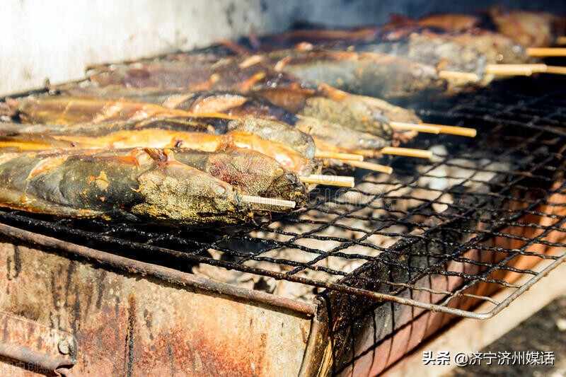 汶上南站新农村庭院烧烤：一种 友谊与幸福融合的休闲快乐