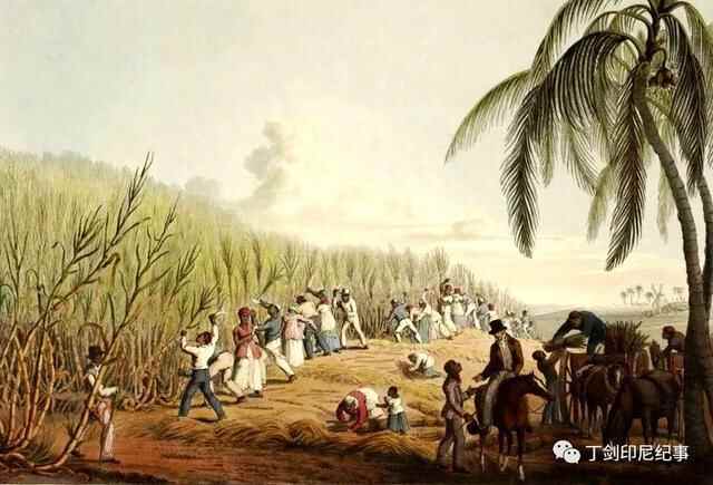 简单粗暴油炸辣甜：印尼人为何口味重成这个样子？