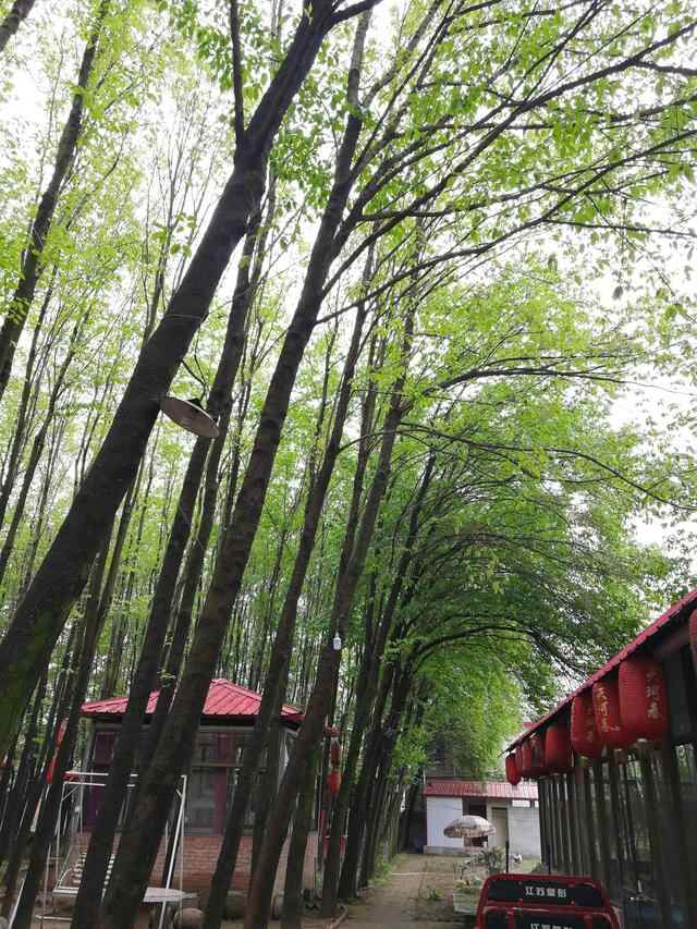 陇南成县梁山小吃市场，这里是人气最旺的夜市
