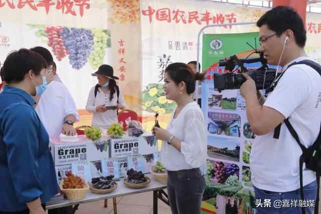 **收•感党恩 | 一起来感受嘉祥丰收的喜悦