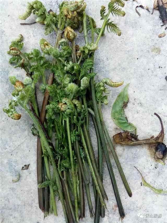 「风味保山」隆阳美食地图新鲜出炉